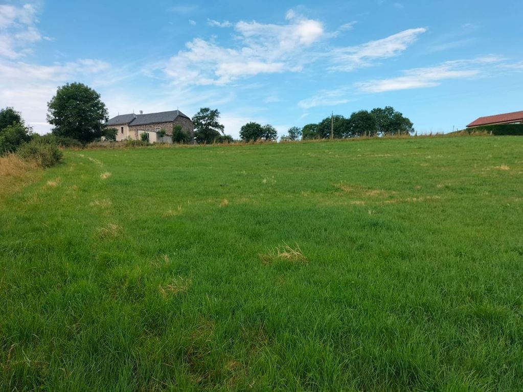Terrain ST FLOUR 236500€ Agence Terres d'Immo Terrain ST FLOUR 236500€ Agence Terres d'Immo