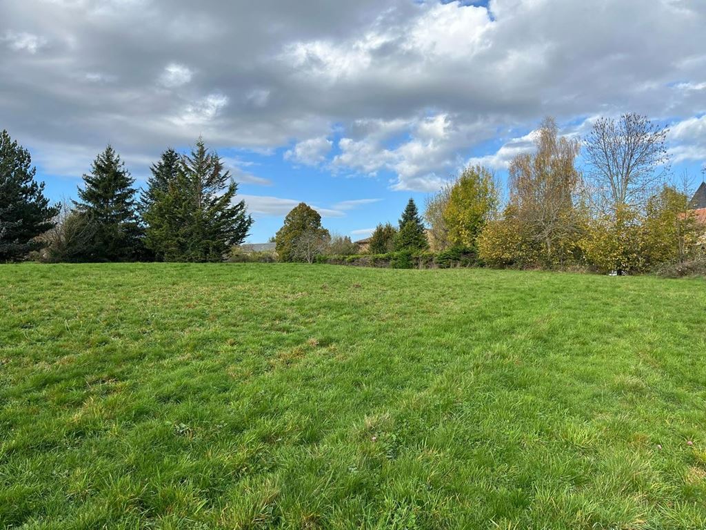 Terrain ST MARY LE PLAIN 107000€ Agence Terres d'Immo Terrain ST MARY LE PLAIN 107000€ Agence Terres d'Immo
